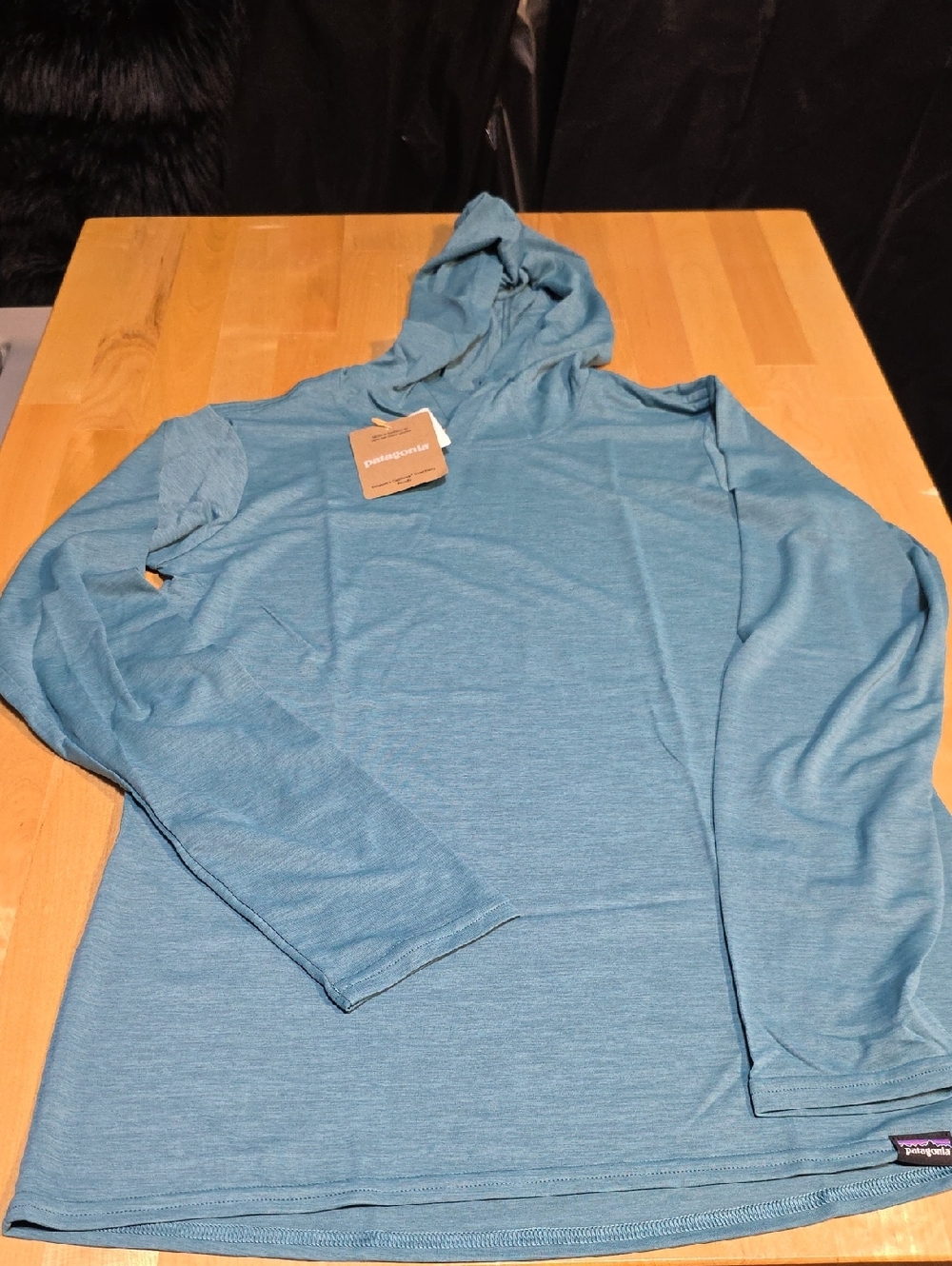 Patagonia Men’s Hooded Long-Sleeve Shirt - Teal Blue